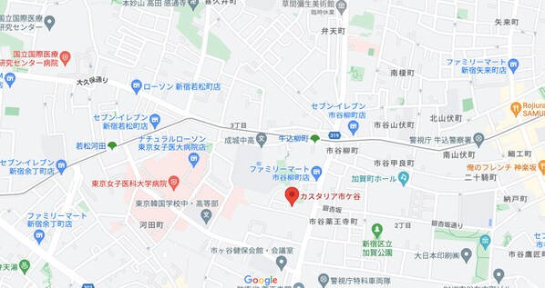 カスタリア市ヶ谷の物件内観写真